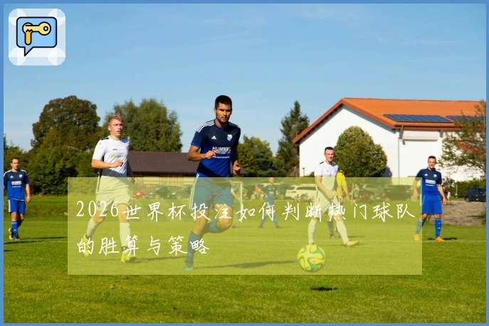 2026世界杯投注如何判断热门球队的胜算与策略