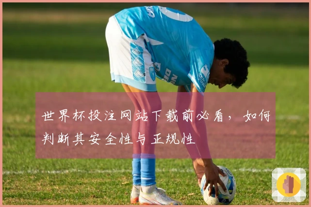 世界杯投注网站下载前必看，如何判断其安全性与正规性