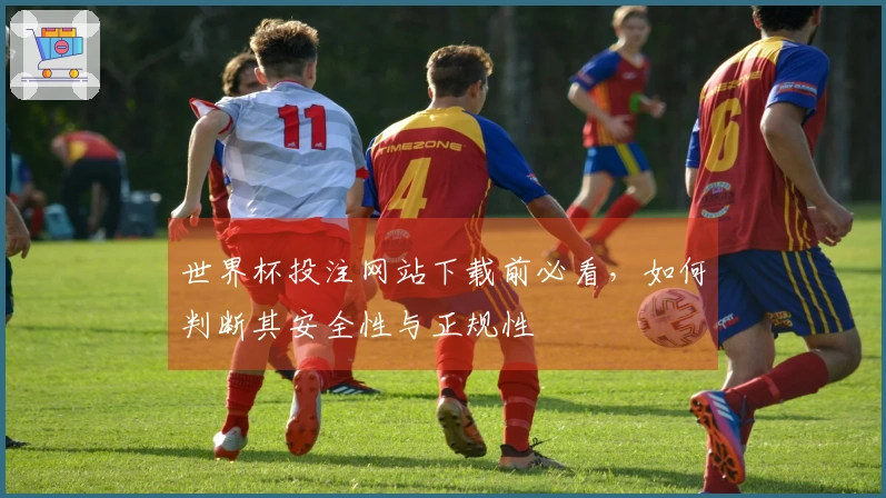 世界杯投注网站下载前必看，如何判断其安全性与正规性