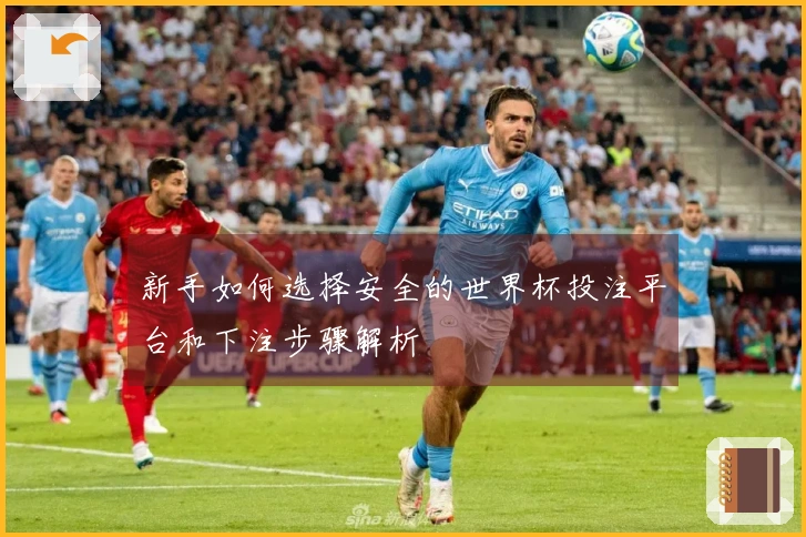 新手如何选择安全的世界杯投注平台和下注步骤解析