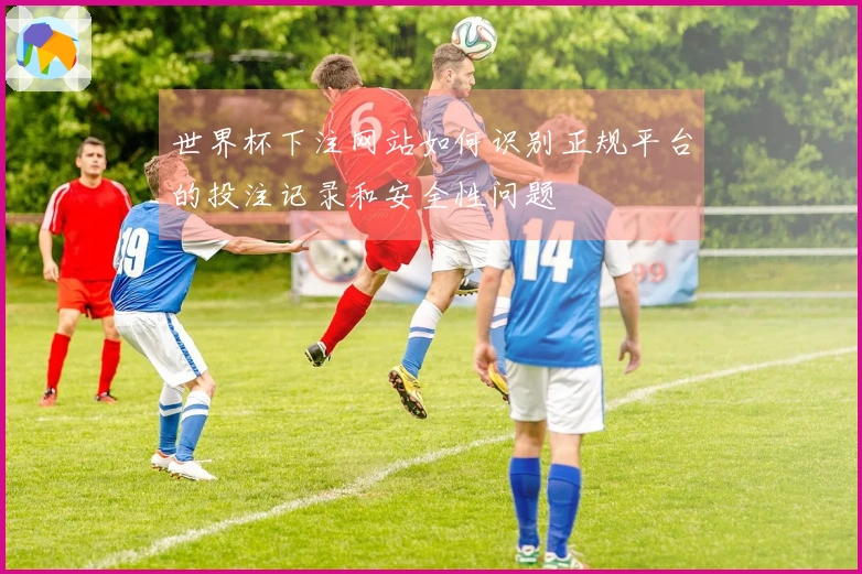 世界杯下注网站如何识别正规平台的投注记录和安全性问题