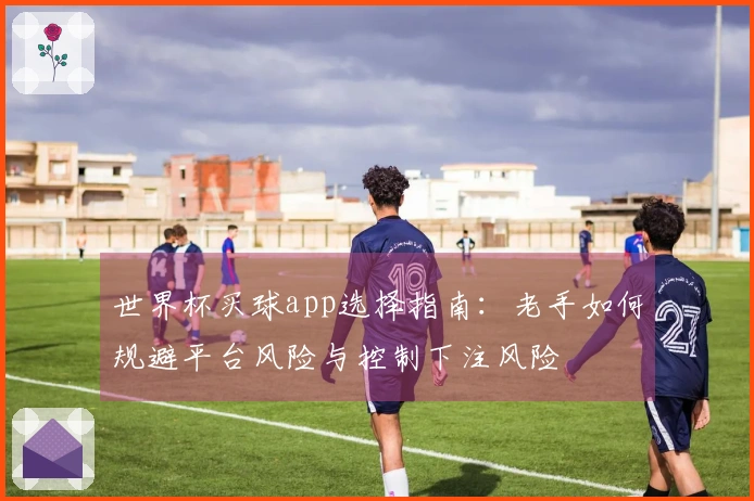 世界杯买球app选择指南：老手如何规避平台风险与控制下注风险