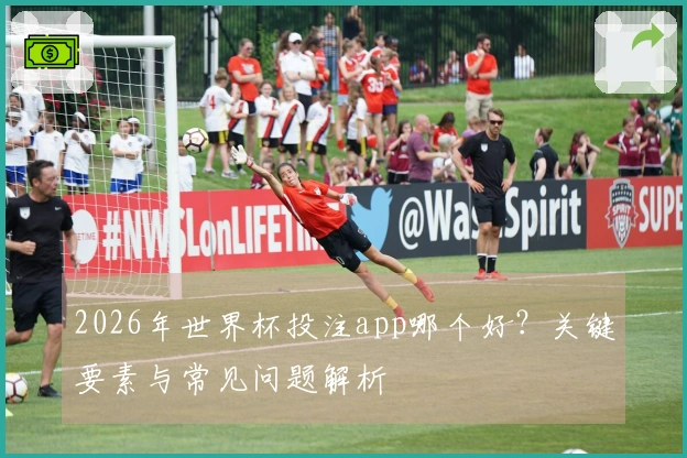 2026年世界杯投注app哪个好？关键要素与常见问题解析