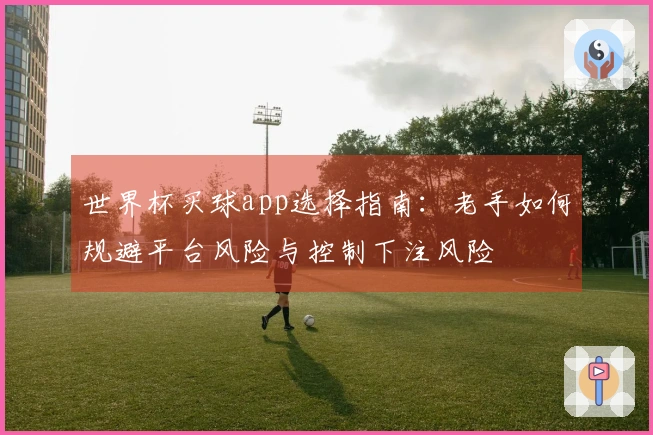 世界杯买球app选择指南：老手如何规避平台风险与控制下注风险