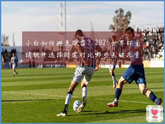 小白如何避免踩雷？2026世界杯竞猜软件选择时需对比哪些关键元素